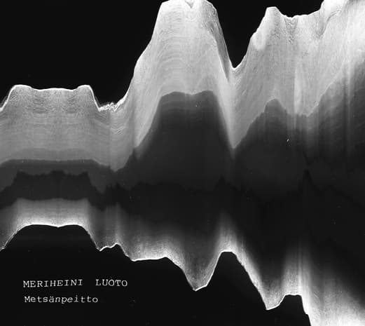 Luoto Meriheini: Metsänpeitto