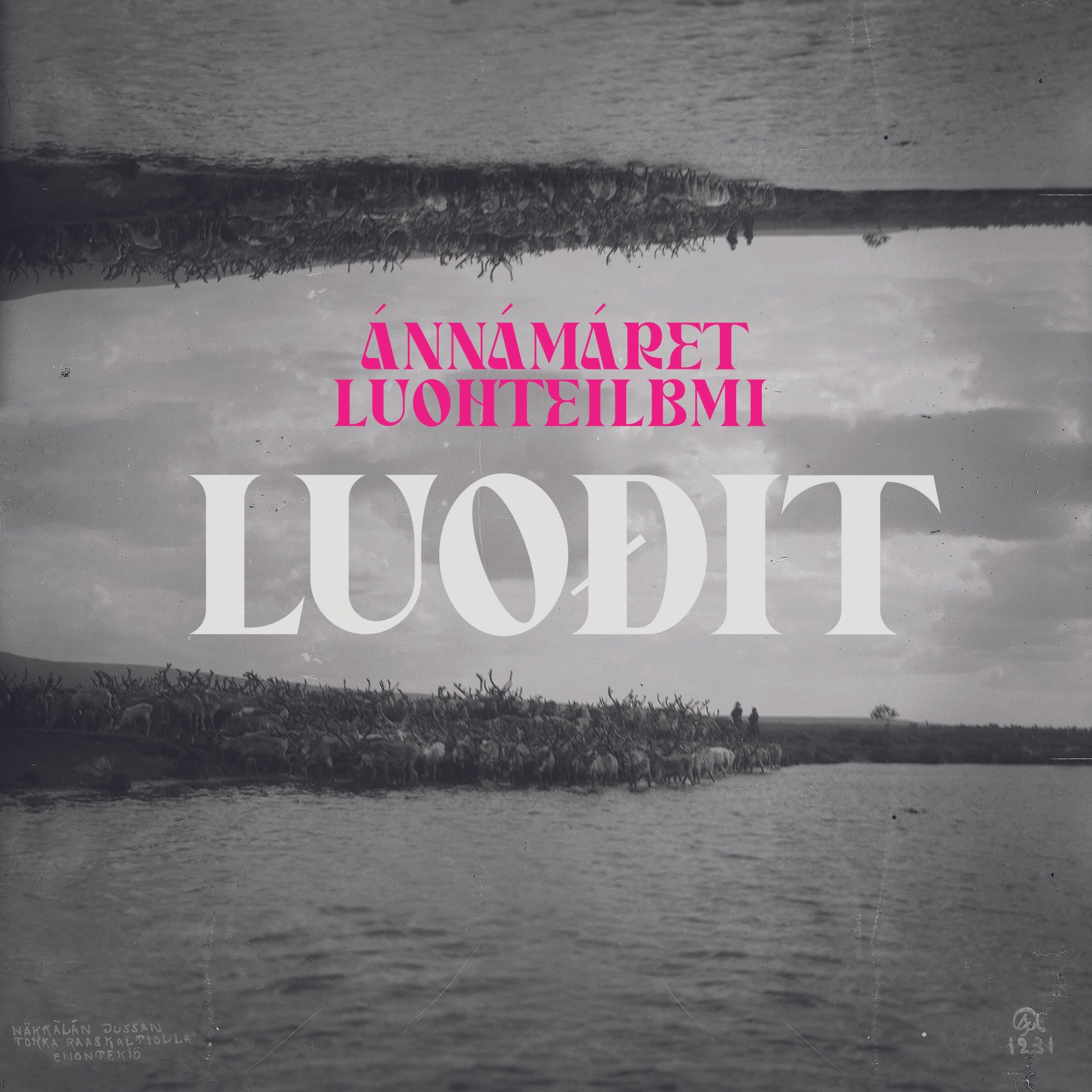Ánnámáret Luohteilbmi: Luođit
