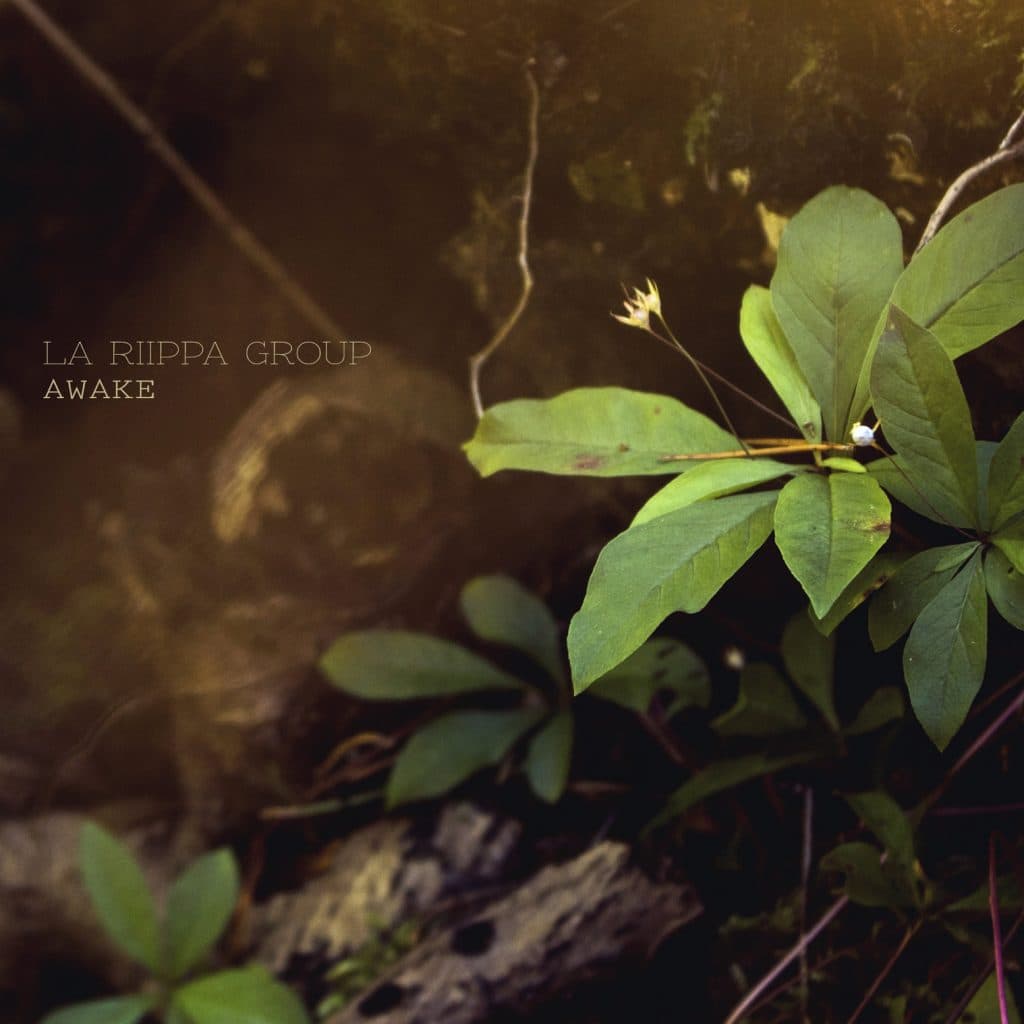 La Riippa Group: Awake