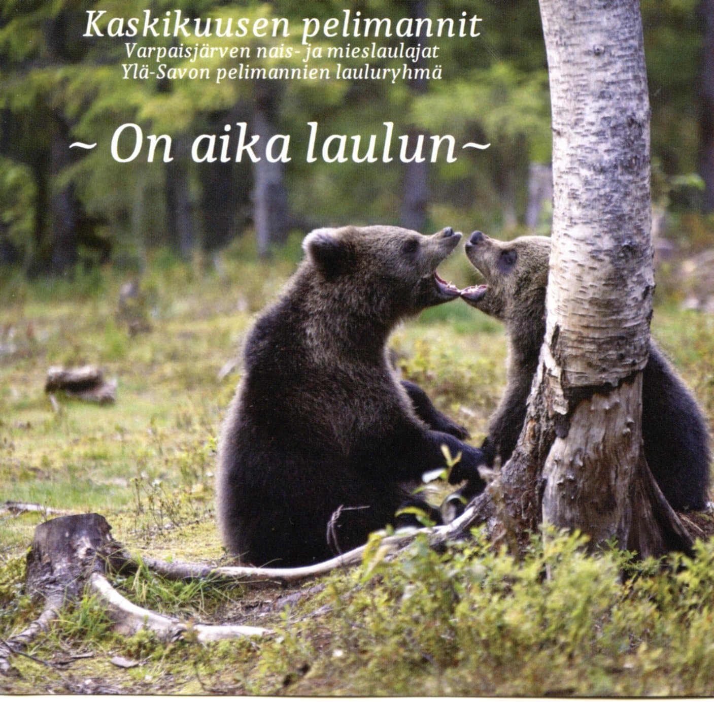 Kaskikuusen pelimannit: On aika laulun