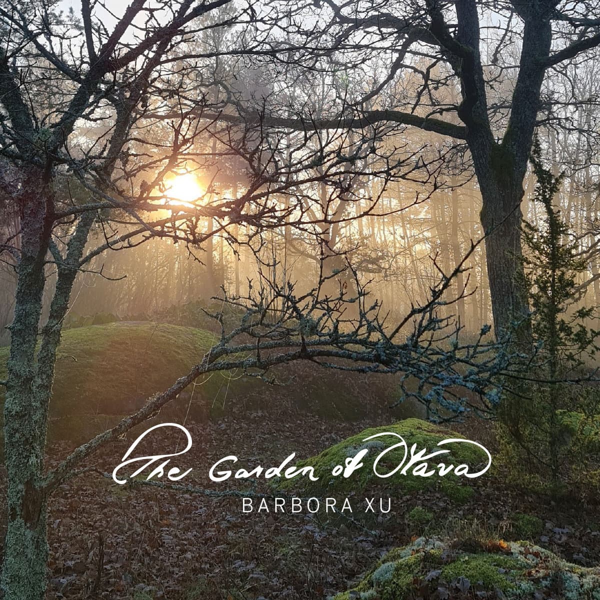 Barbora Xu: The Garden of Otava