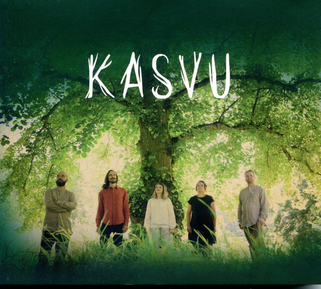 Kasvu