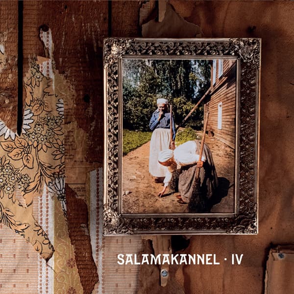 Salamakannel: IV